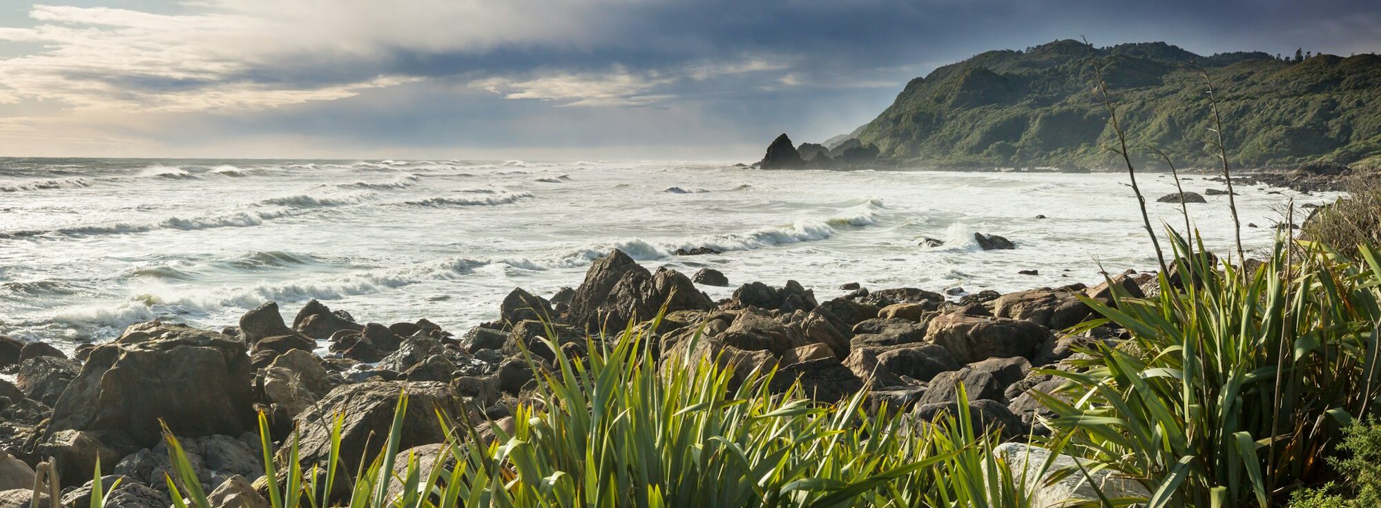 New Zealand coast