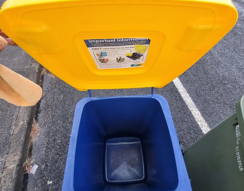 Clean Wheelie bin