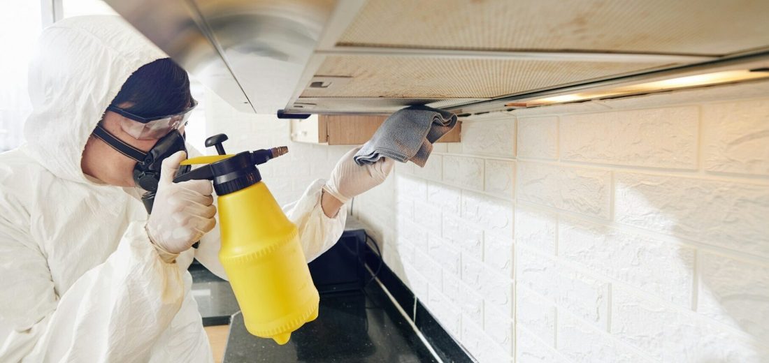 Cleaning service worker spraying detergent