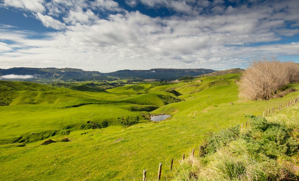 New Zealand Scenery